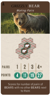 Selected Bear scoring card