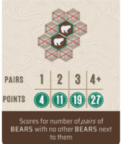 Bear Thumbnail