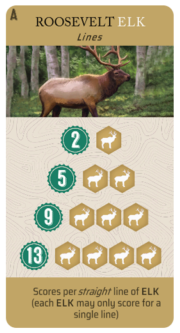 Selected Elk scoring card
