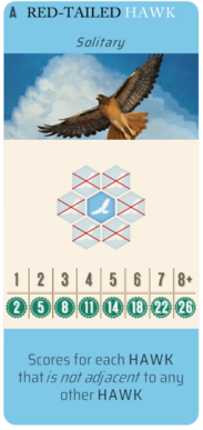 Selected Hawk scoring card