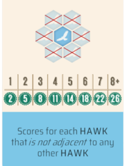 Hawk Thumbnail