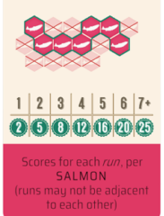 Salmon Thumbnail