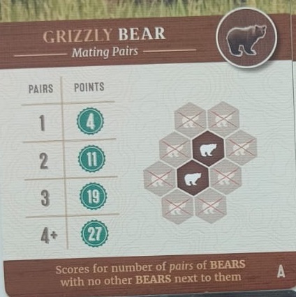 Selected Bear scoring card