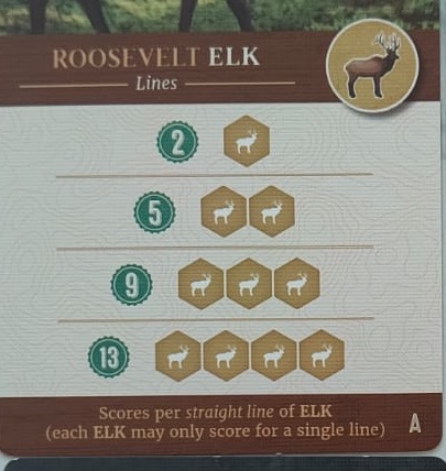 Selected Elk scoring card
