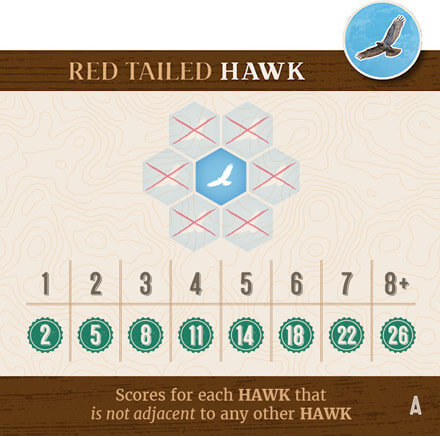 Hawk Scoring Image